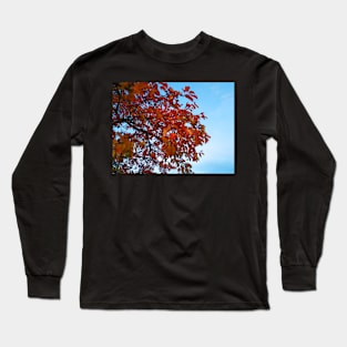 Photo of Red Autumn Leaves Long Sleeve T-Shirt